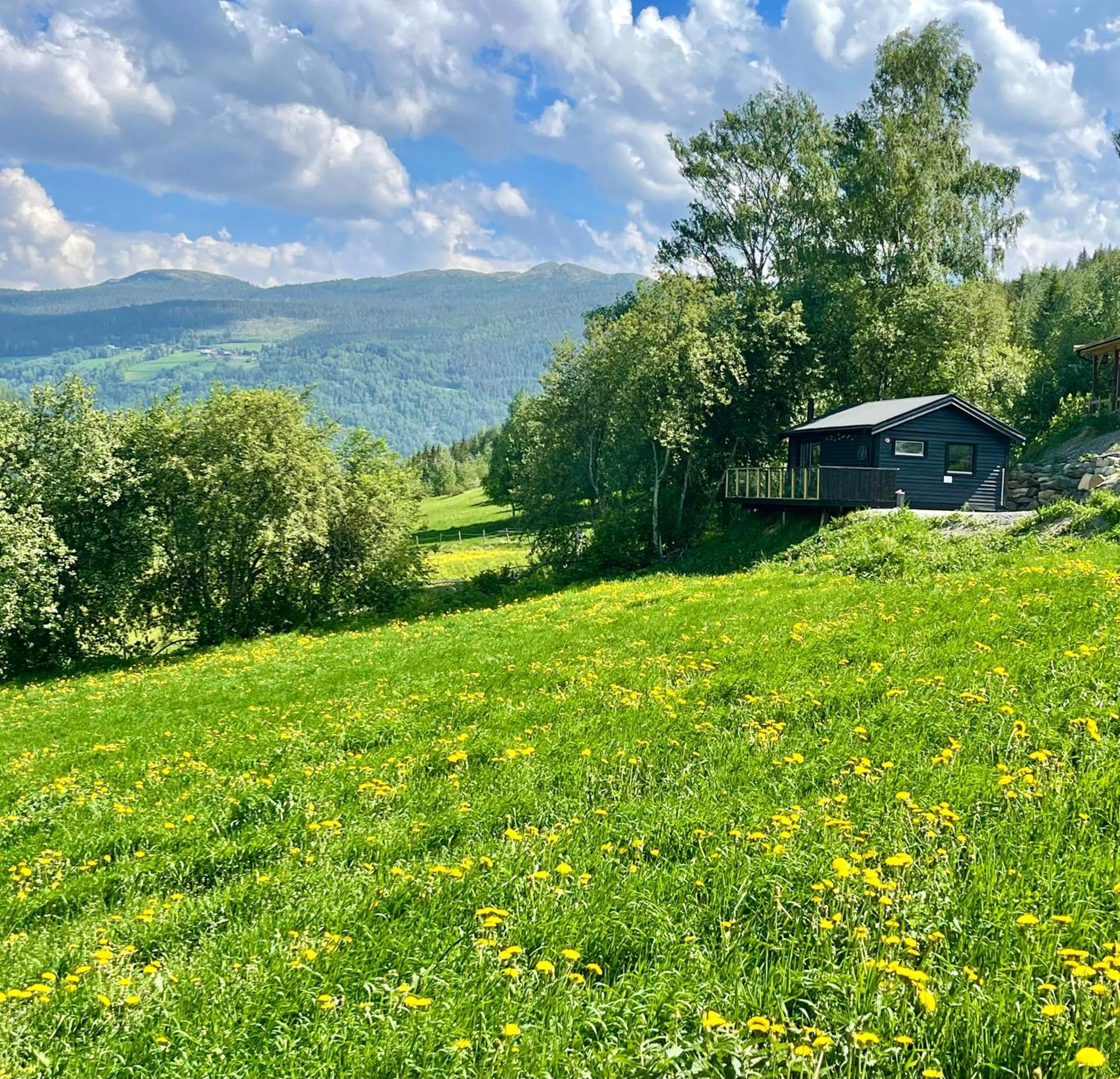 Koselig Gardshus * To (Oppland)